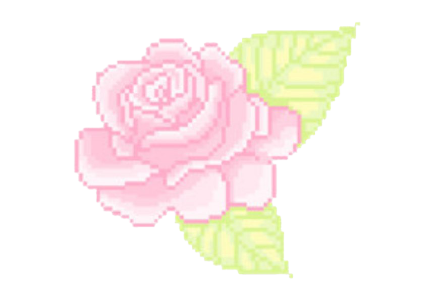 Rose Aesthetic PNG Photos
