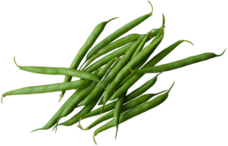Runner Beans PNG Clipart Background