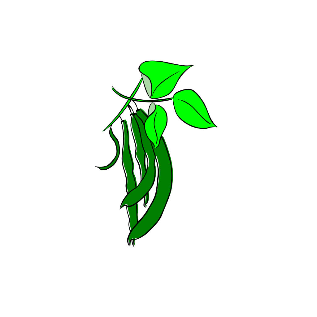 Runner Beans PNG HD Quality