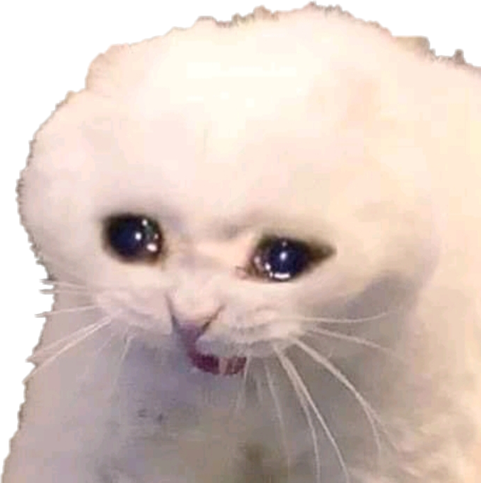 Sad Cat Memes Transparent Image PNG