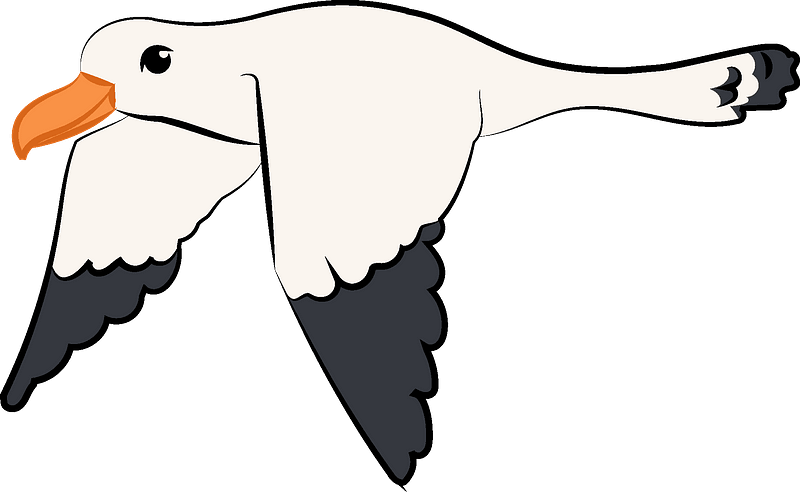 Seagulls Free File Download PNG