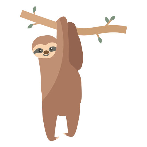 Sloth Download Free PNG