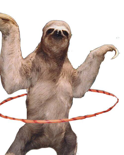 Sloth PNG Images HD