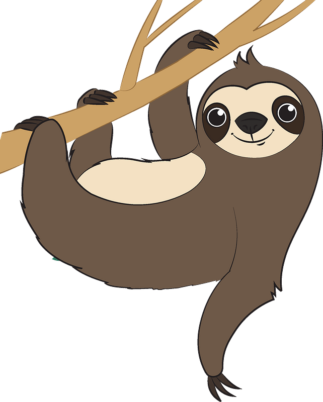 Sloth PNG Pic Background