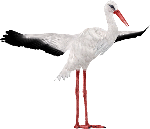 Storks Clipart Background PNG