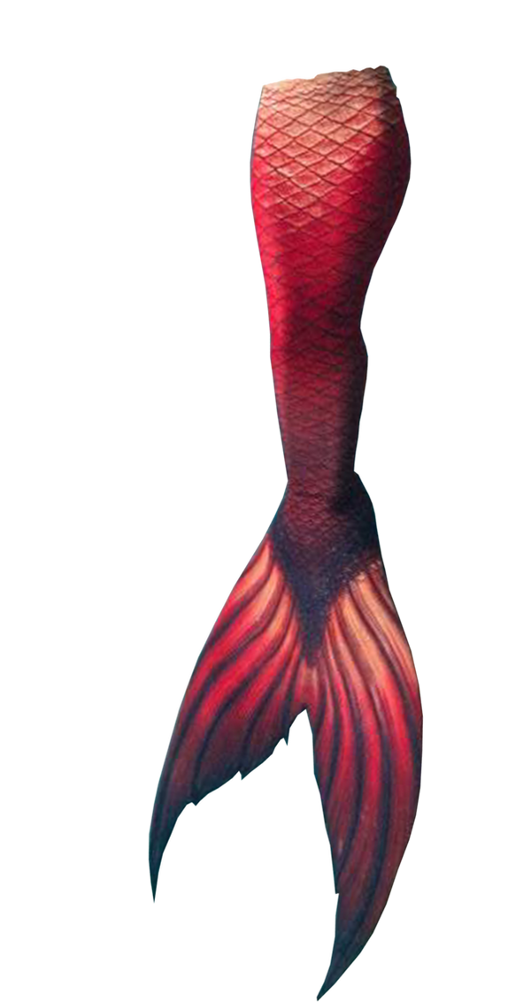 Tail Background PNG