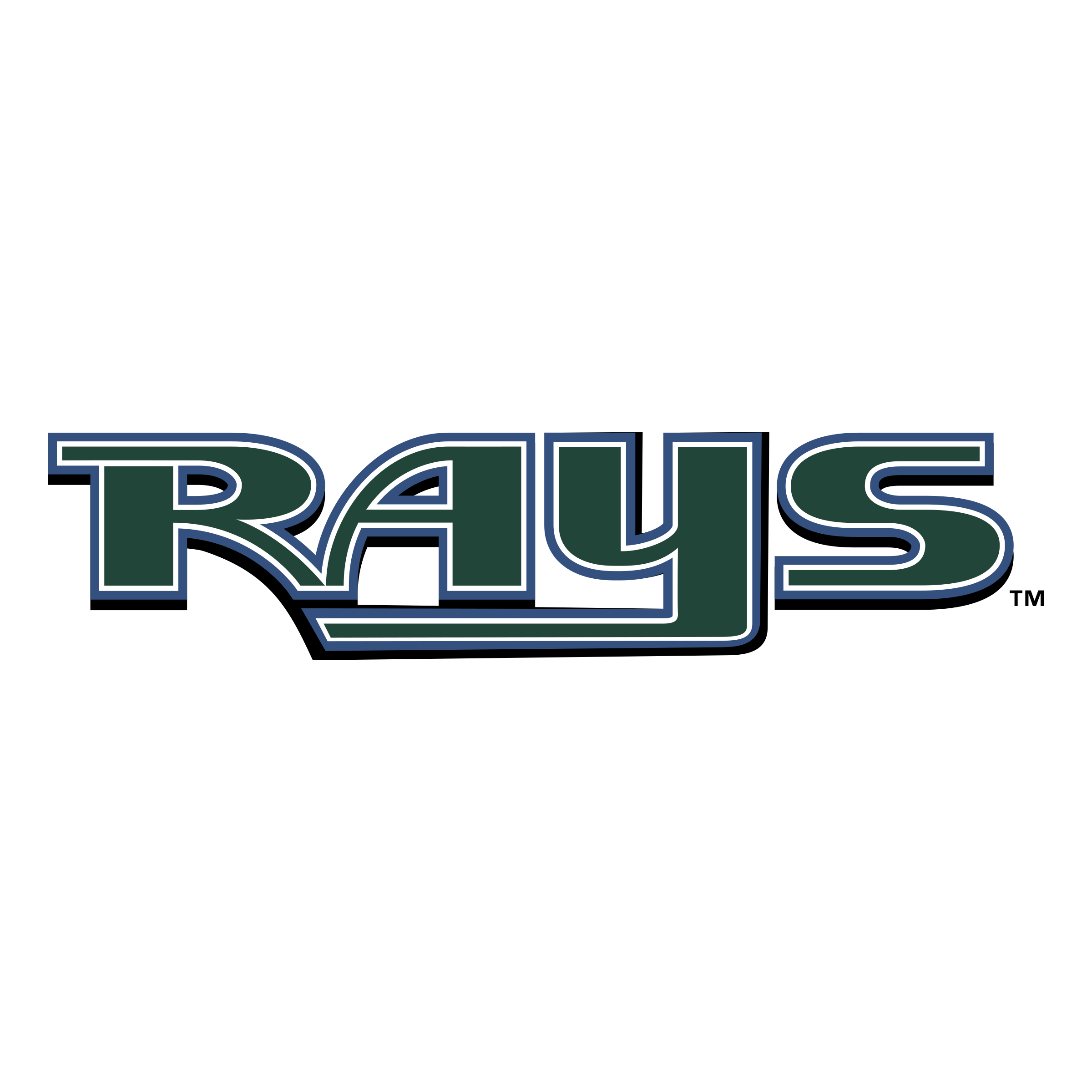 Tampa Bay Rays Transparent Background