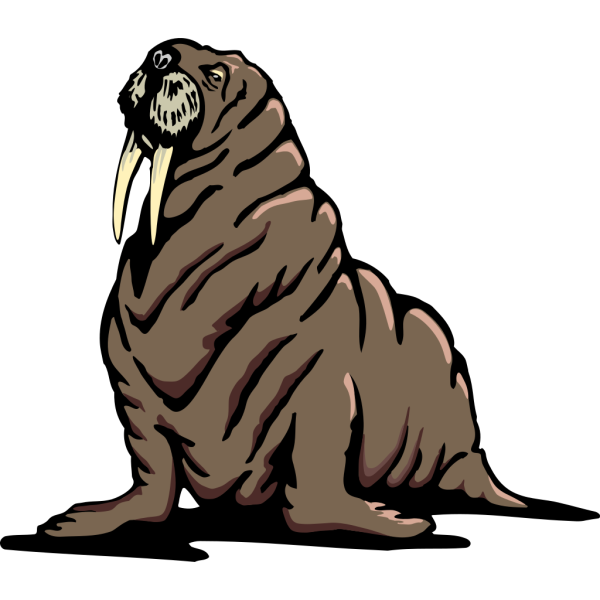 Walruse Transparent Free PNG