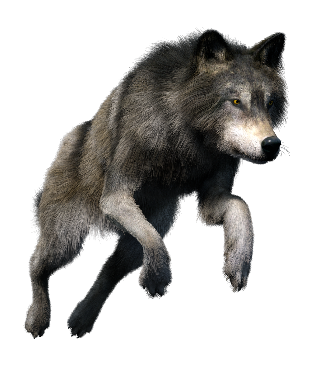 Wolve Background PNG Image