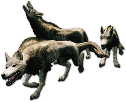 Wolve PNG HD Quality