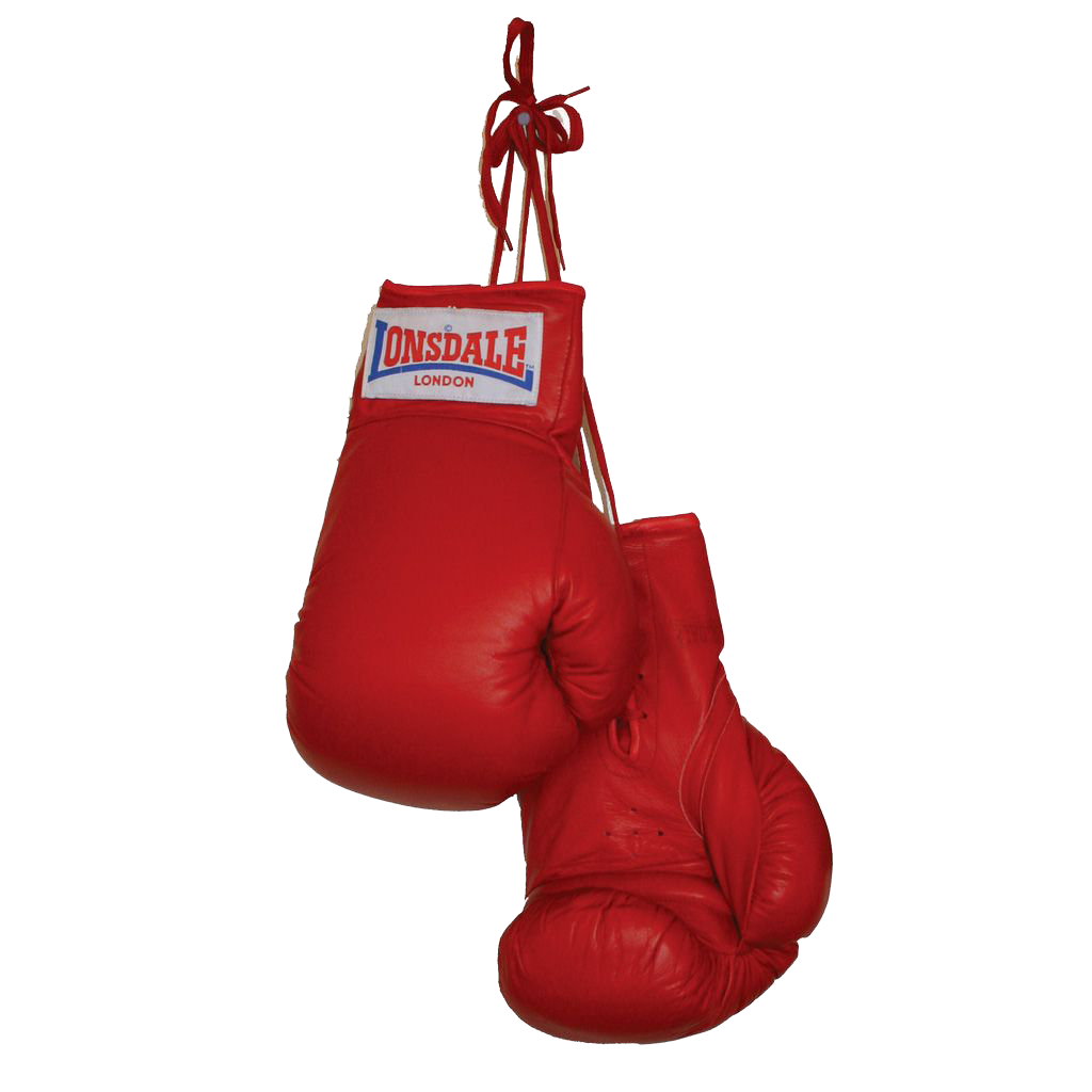 Boxing Glove Download Free PNG