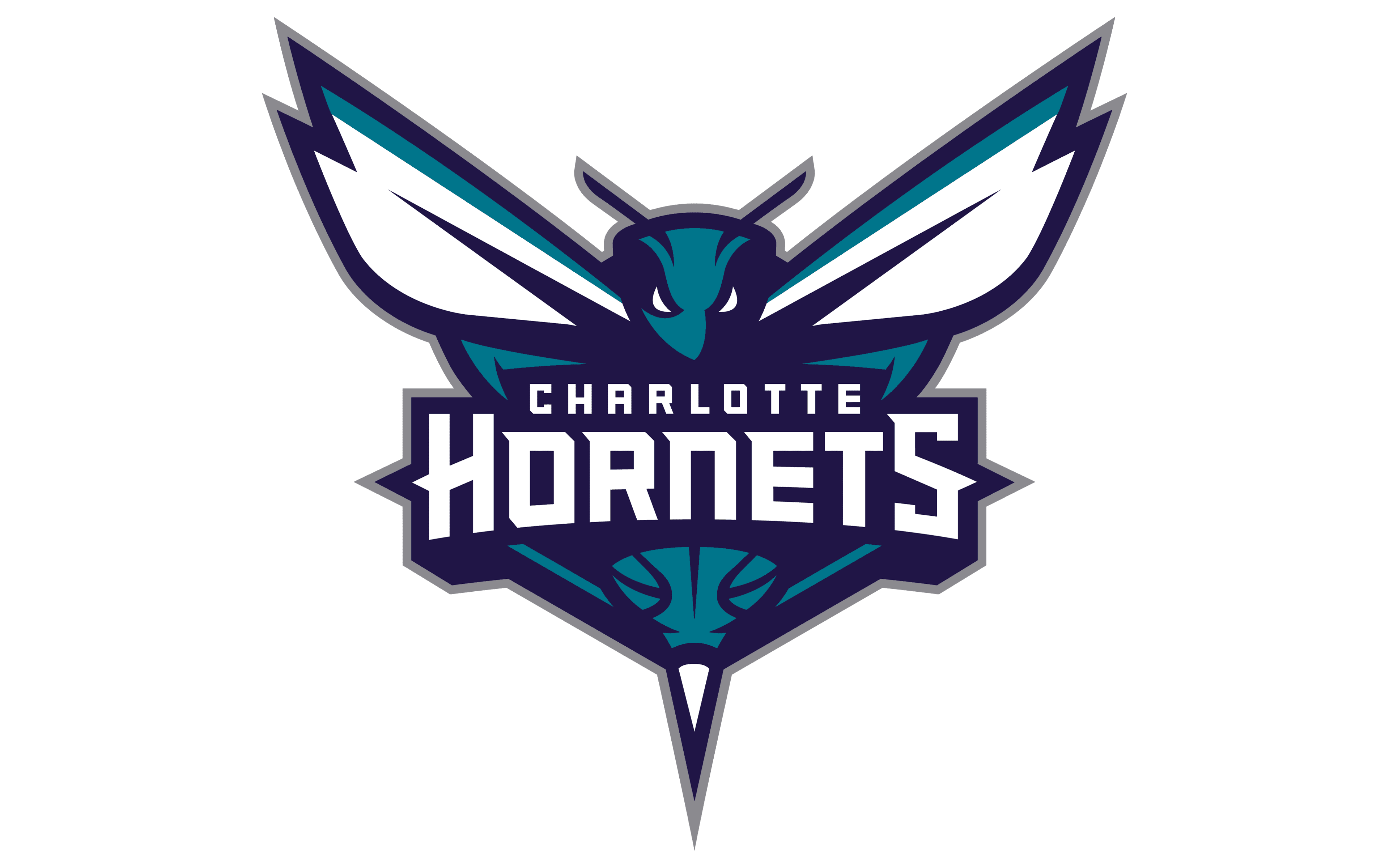 Charlotte Hornets Logo PNG HD Quality