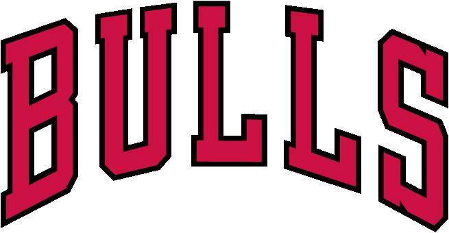Chicago Bulls Logo Download Free PNG