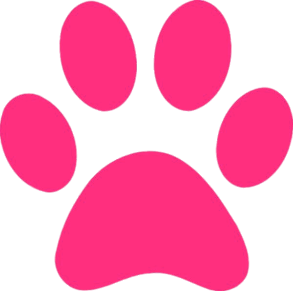 Pink Panther Paw Print Transparent Images PNG