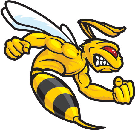 Sting The Hornet Background Image PNG