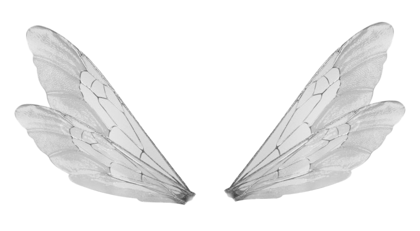 Tinker Bell Wings Transparent Background PNG