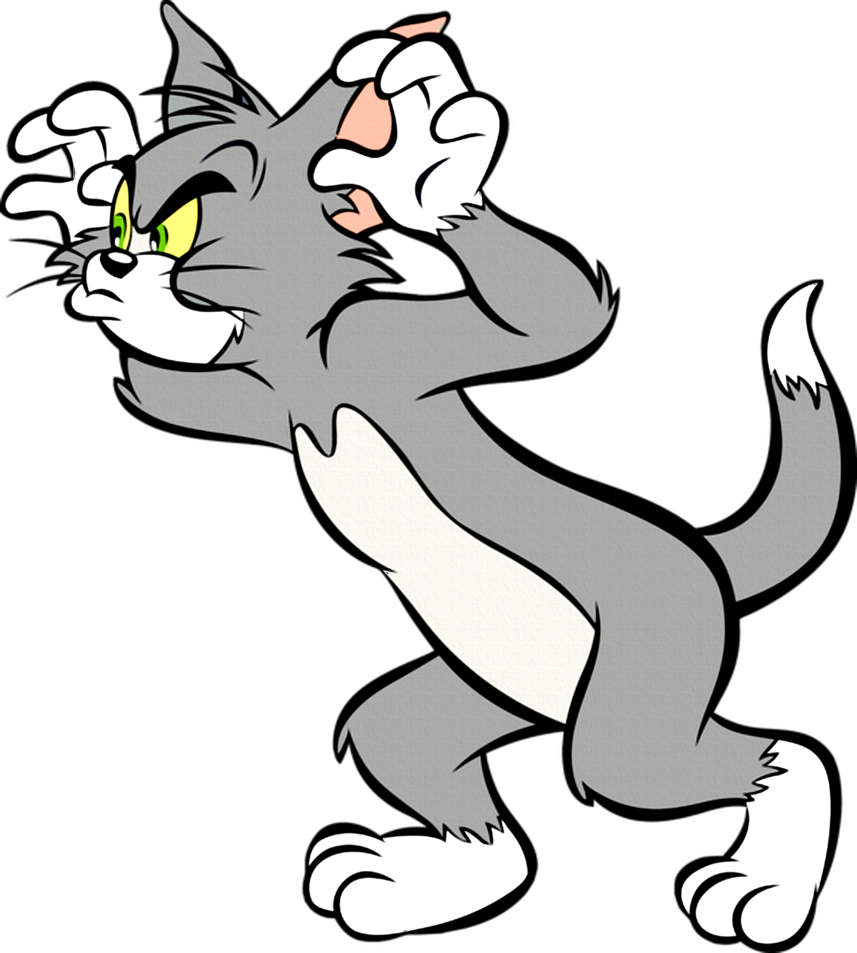Tom And Jerry Cat Images HD PNG