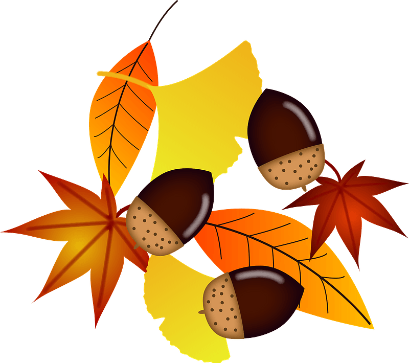 Acorn Autumn Leaves Background PNG Image