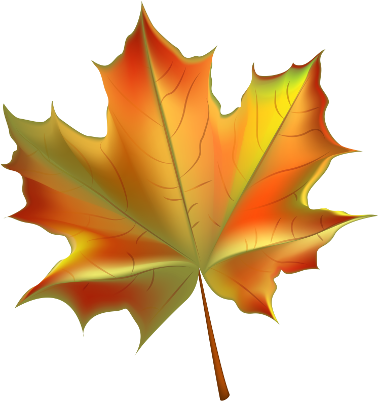 Acorn Autumn Leaves PNG Clipart Background