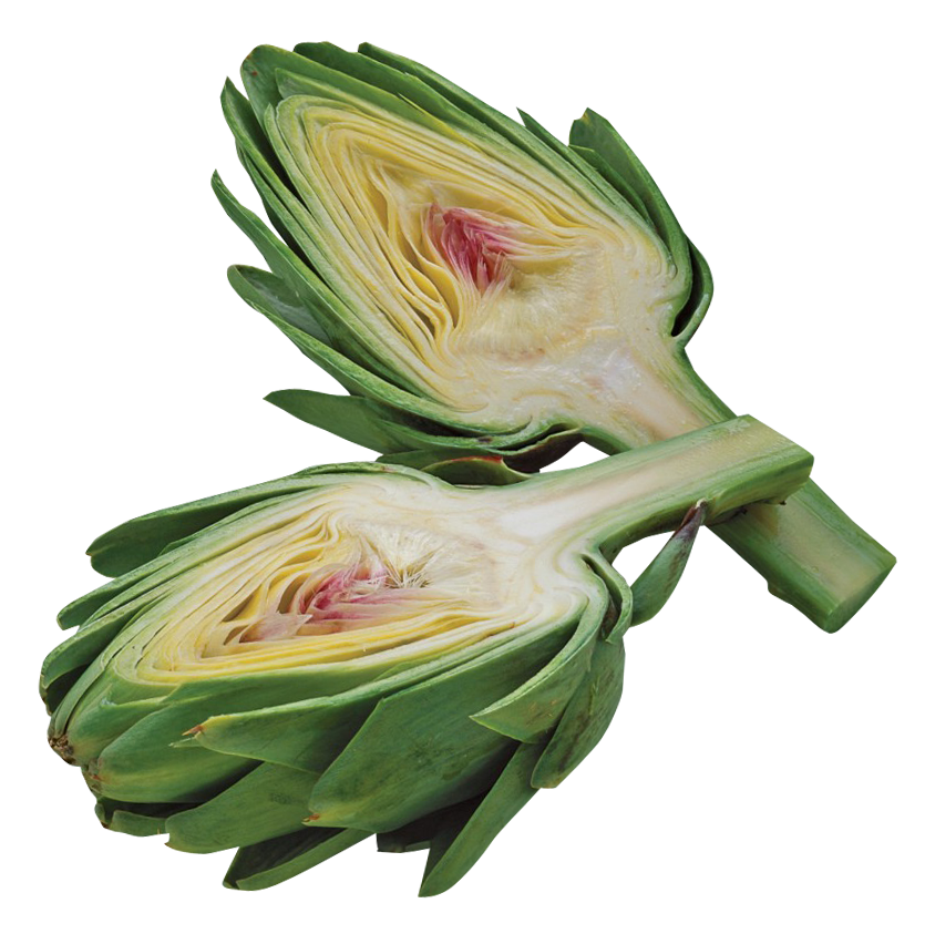 Artichokes PNG Background