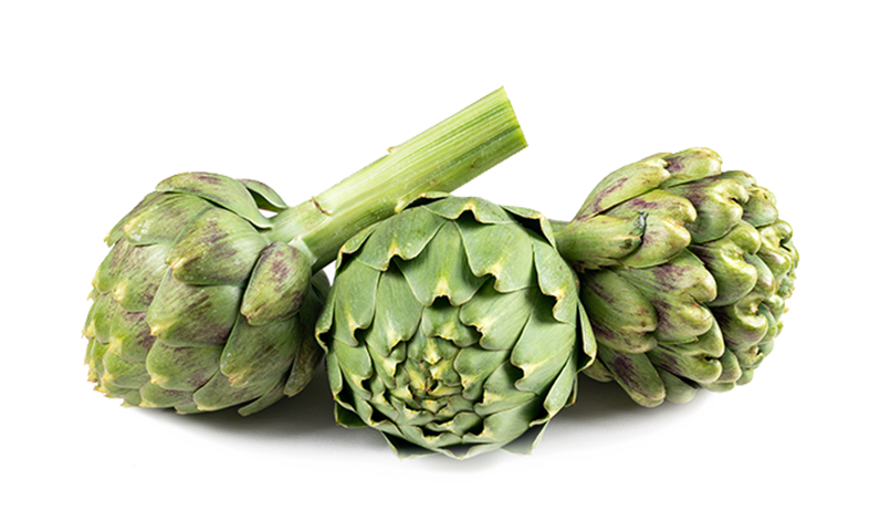 Artichokes PNG Pic Background