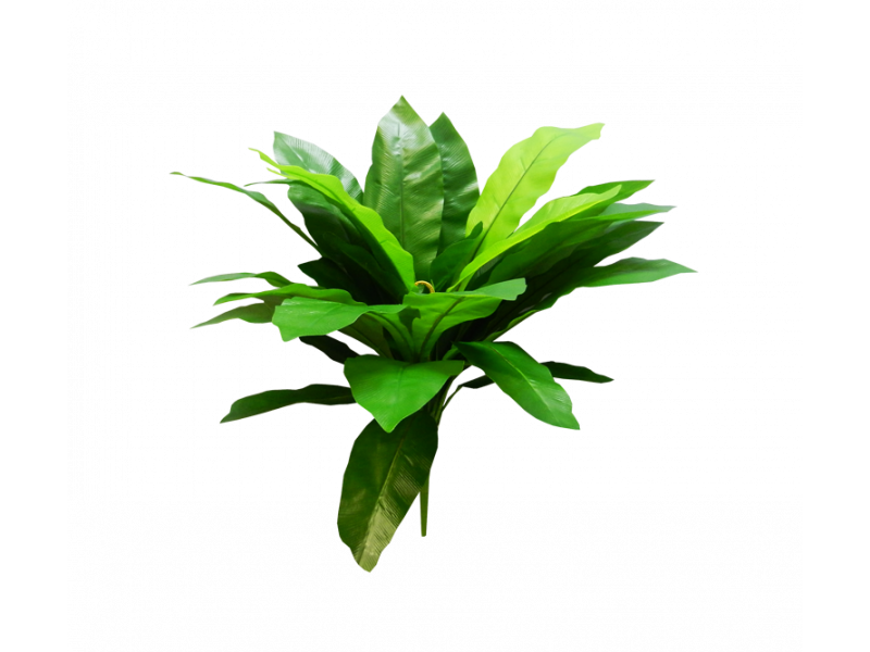 Artificial Fern PNG Clipart Background