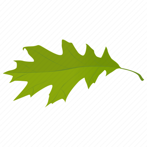 Autumn Leaves Green Free PNG