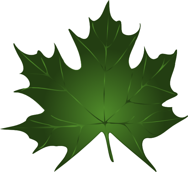 Autumn Leaves Green Transparent Free PNG