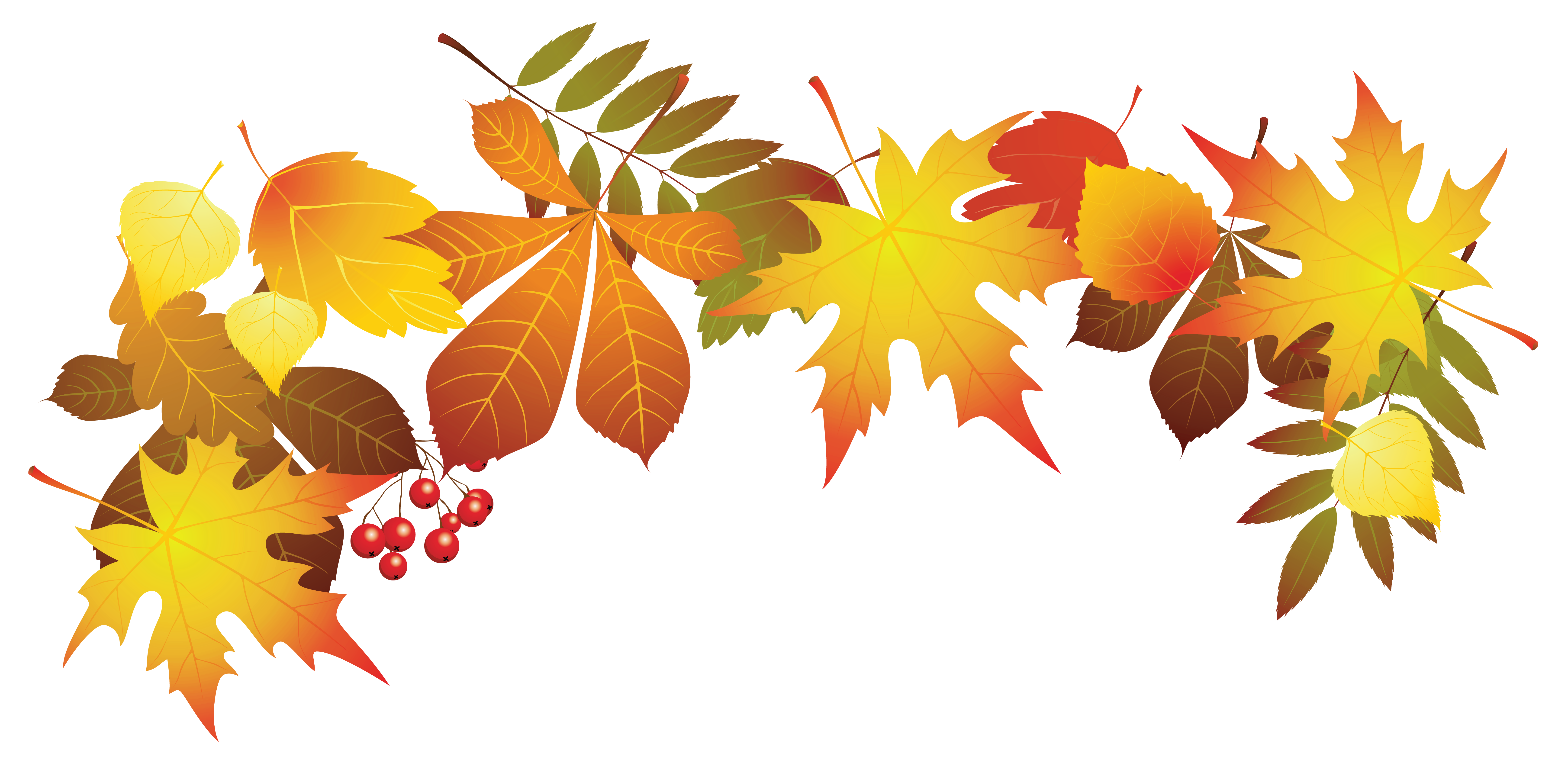Autumn Leaves Group PNG Clipart Background