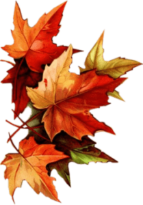 Autumn Leaves Group PNG HD Quality