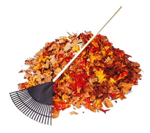 Autumn Leaves Pile Transparent Image