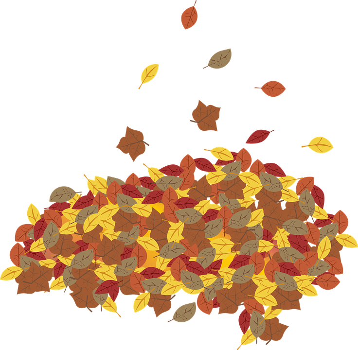 Autumn Leaves Pile Transparent PNG