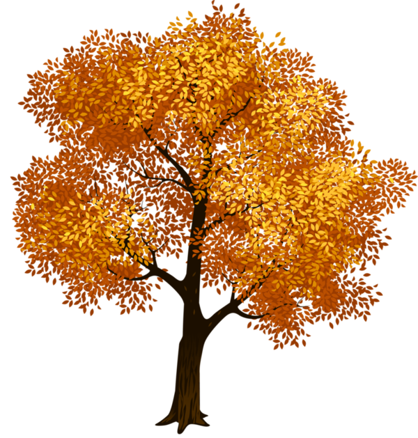 Autumn Tree PNG Photos