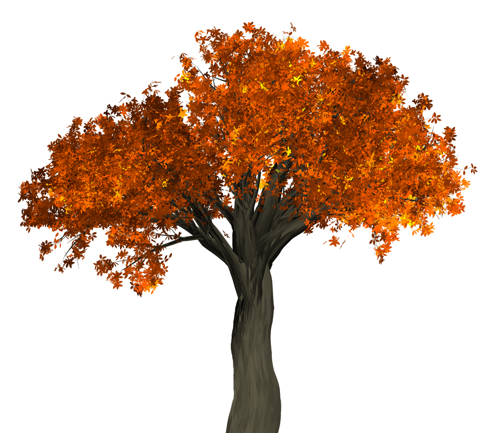 Autumn Tree Transparent File