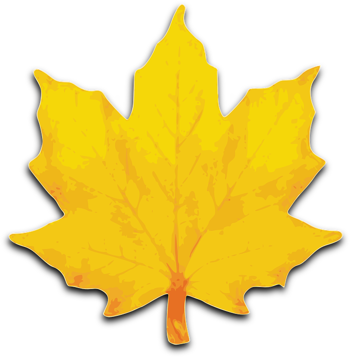 Autumn Yellow Leaf Background PNG Image