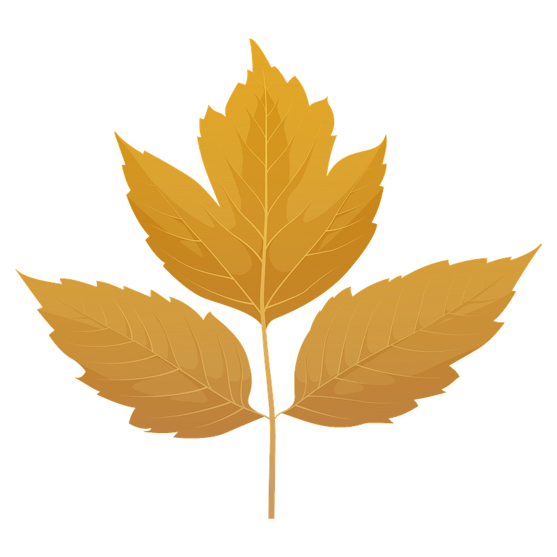 Autumn Yellow Leaf Free PNG
