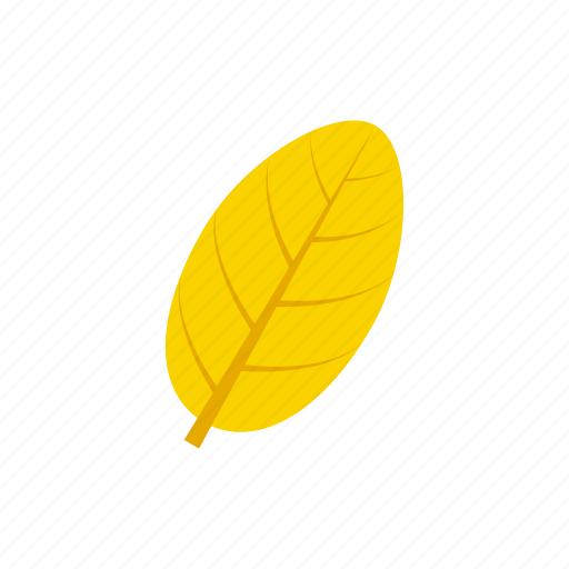 Autumn Yellow Leaf No Background