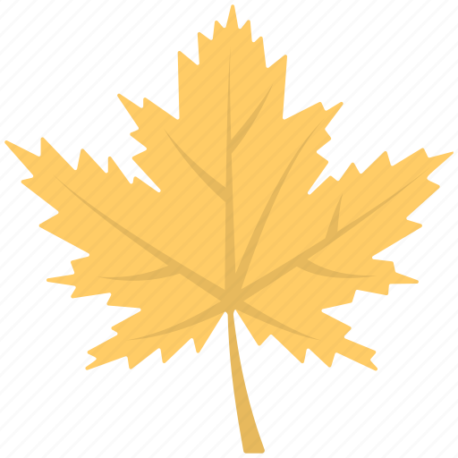 Autumn Yellow Leaf PNG Background