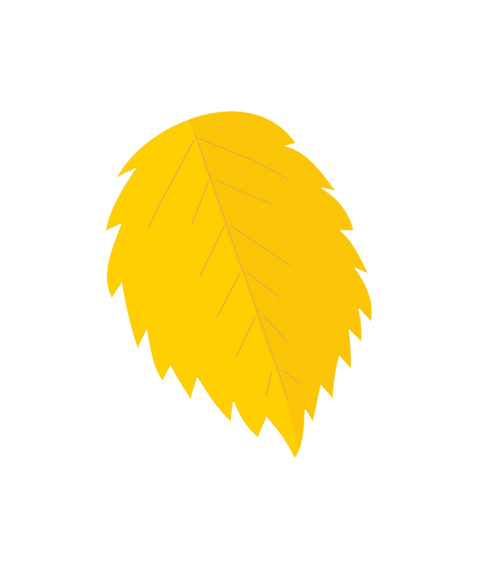 Autumn Yellow Leaf PNG Clipart Background