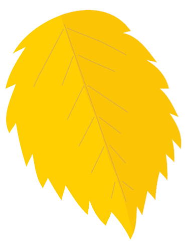 Autumn Yellow Leaf PNG Photos