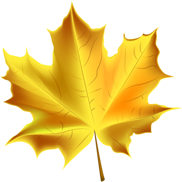 Autumn Yellow Leaf Transparent File