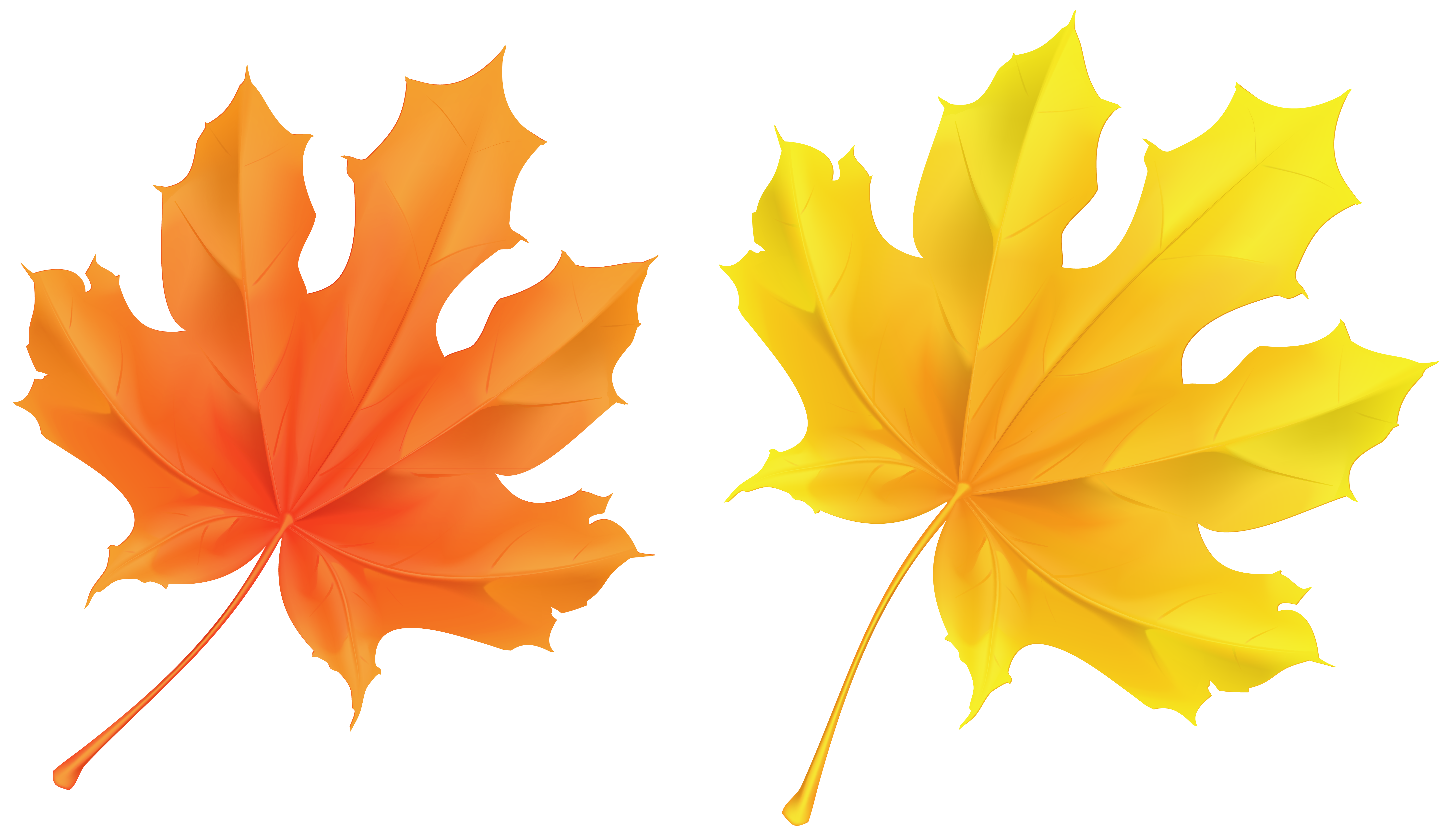 Autumn Yellow Leaf Transparent Image