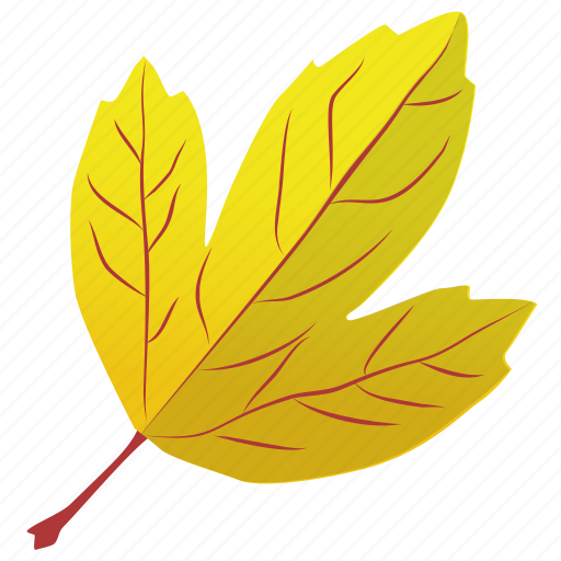 Autumn Yellowish Leaf Background PNG