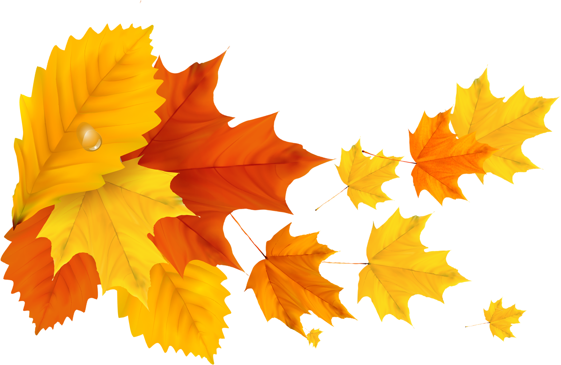 Autumn Yellowish Leaf PNG Clipart Background