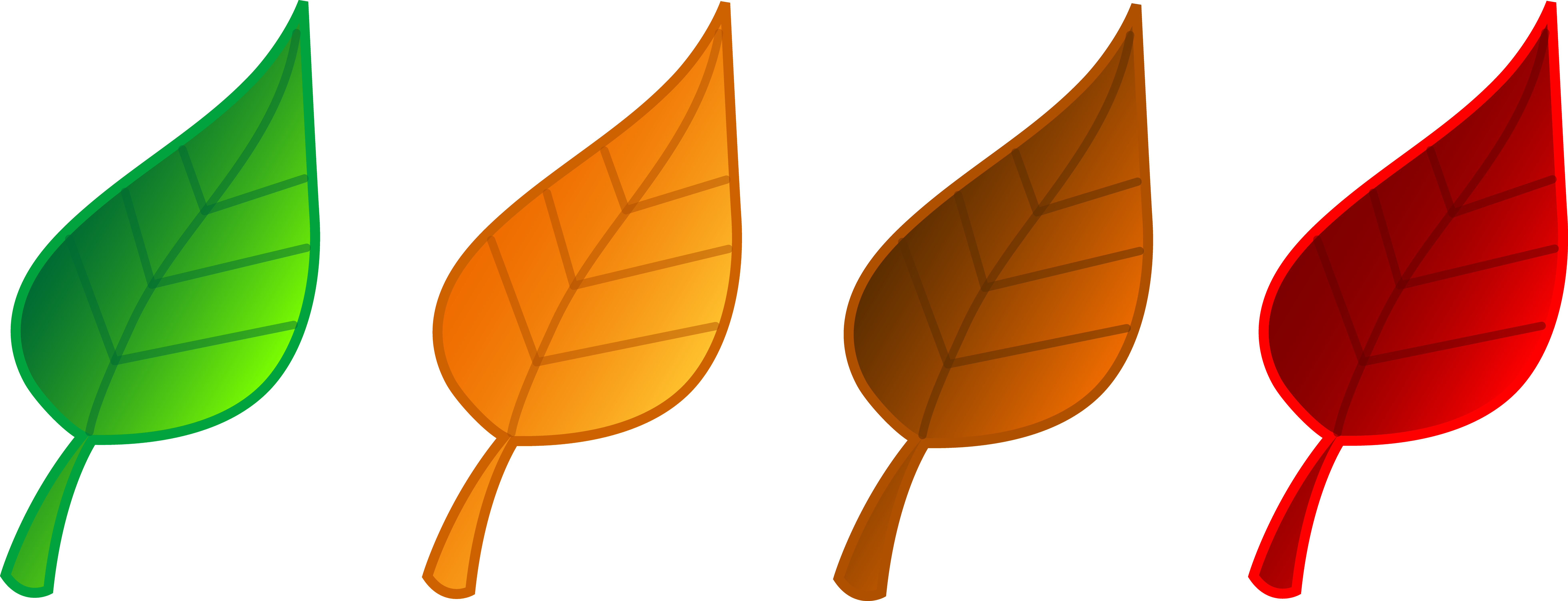 Autumn Yellowish Leaf PNG Images HD