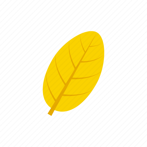 Autumn Yellowish Leaf PNG Photo Image
