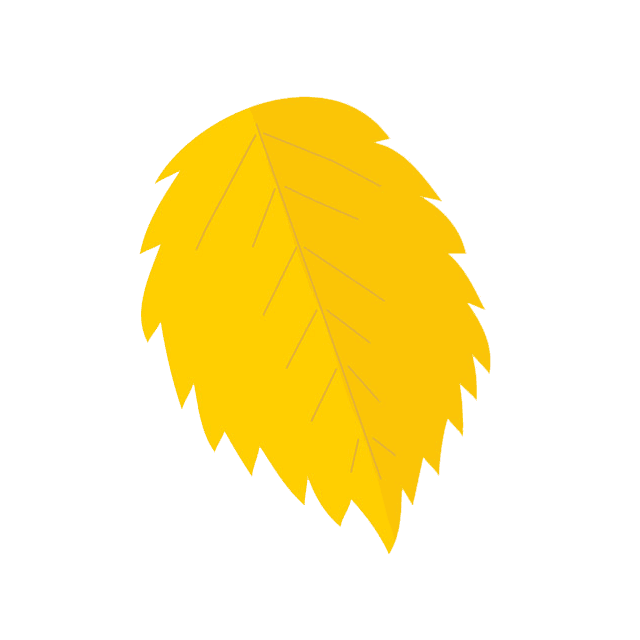 Autumn Yellowish Leaf PNG Photos