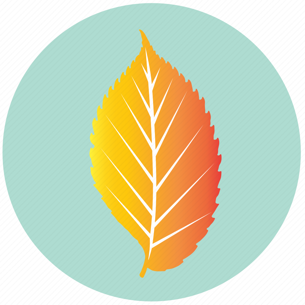 Autumn Yellowish Leaf Transparent File