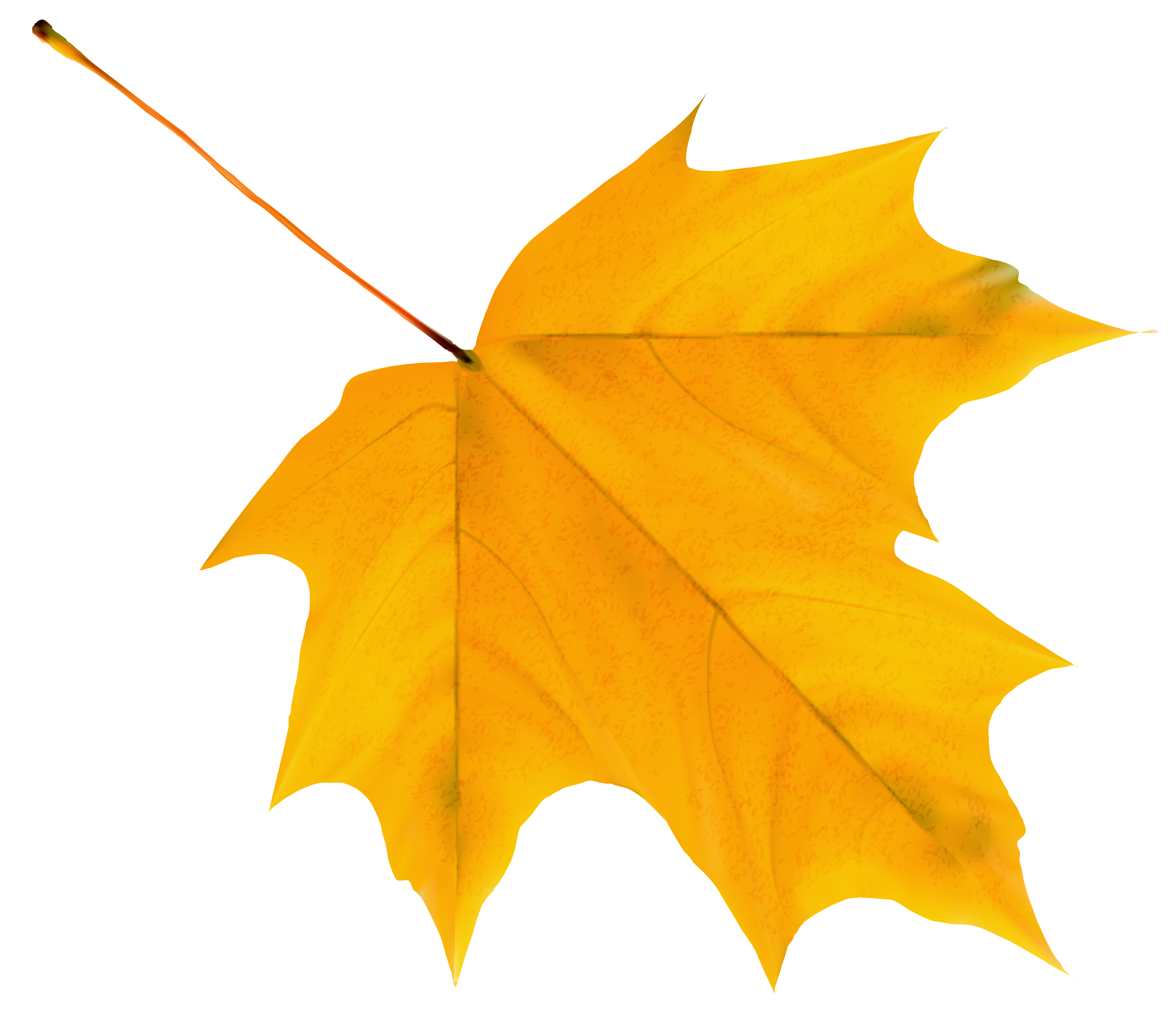 Autumn Yellowish Leaf Transparent Image