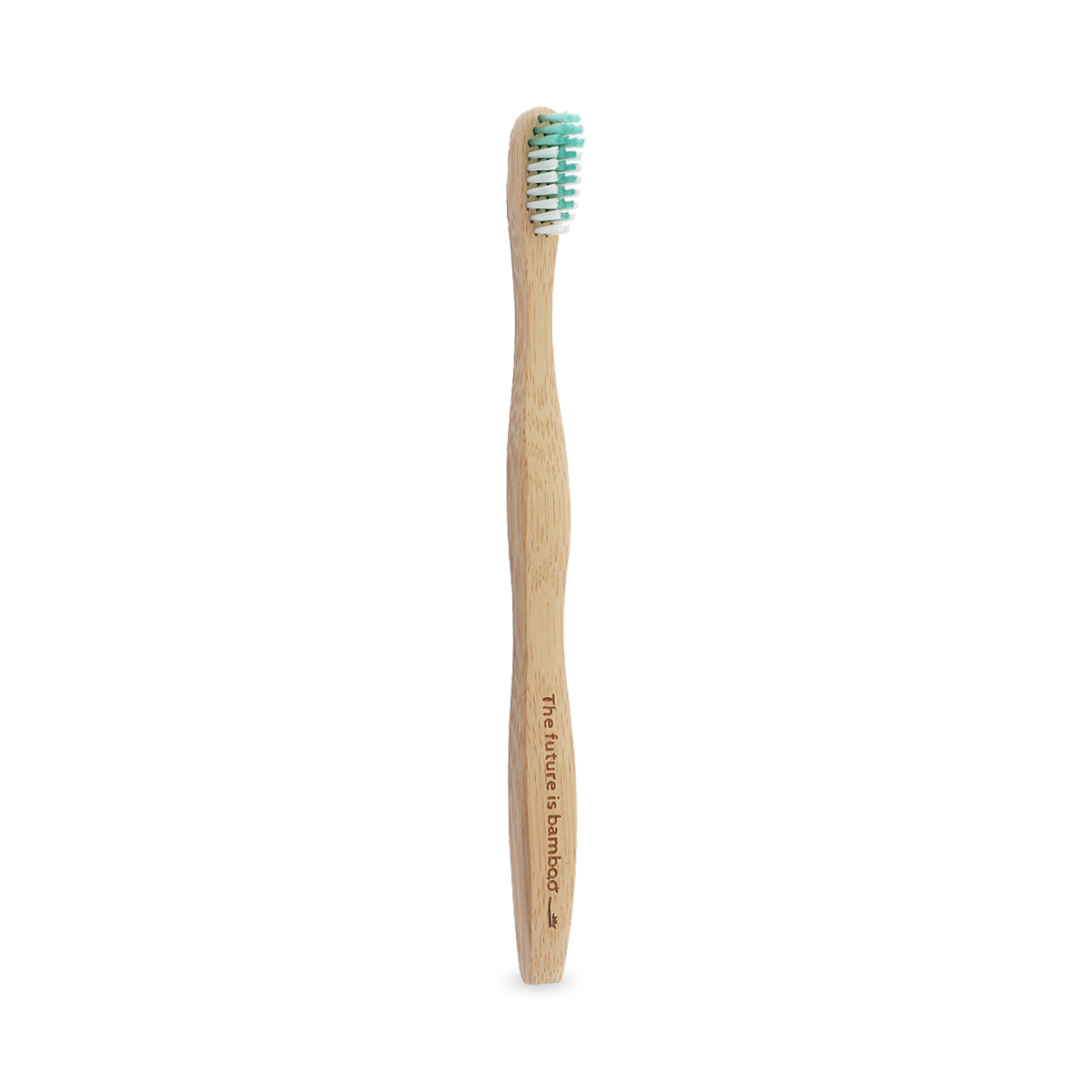Bamboo Tooth Brush PNG Free File Download